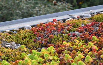 the cost of Ceann A Bhaigh green roof installation